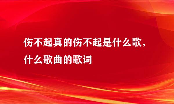 伤不起真的伤不起是什么歌，什么歌曲的歌词