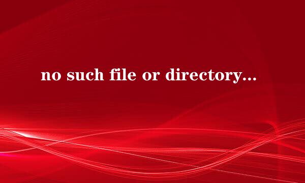 no such file or directory是什么意思啊