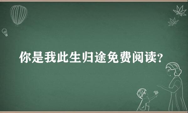 你是我此生归途免费阅读？