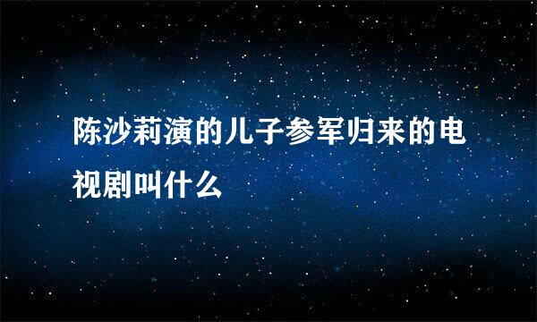 陈沙莉演的儿子参军归来的电视剧叫什么