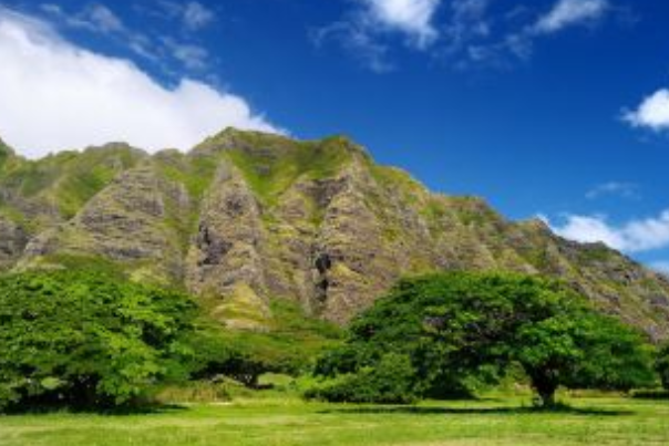 檀香山在哪里