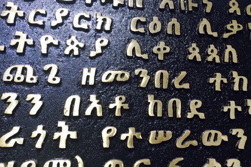 埃塞俄比亚是讲什么语言啊
