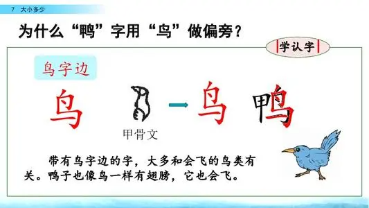 鸭字的偏旁是什么?