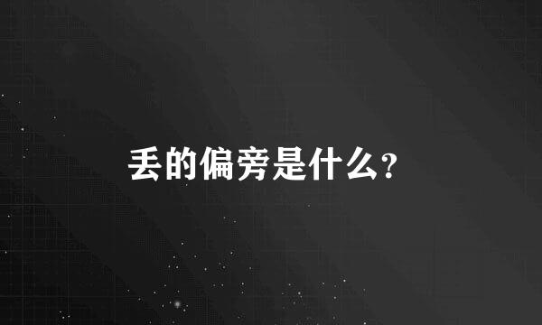 丢的偏旁是什么？