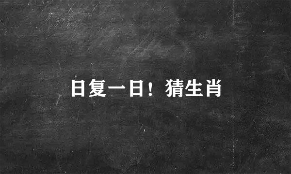 日复一日！猜生肖