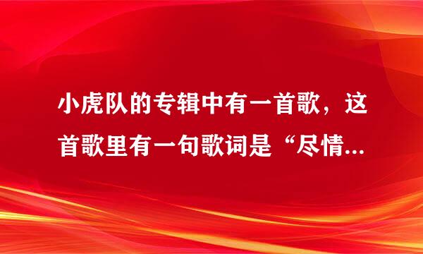 小虎队的专辑中有一首歌，这首歌里有一句歌词是“尽情摇摆”的 这首歌名是？