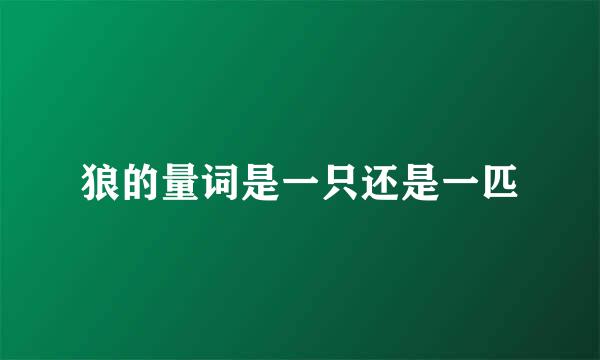 狼的量词是一只还是一匹