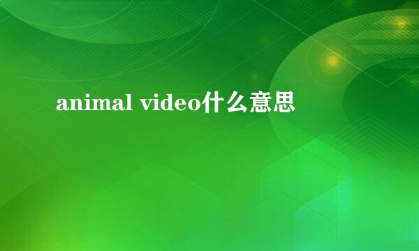 animal video什么意思