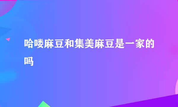 哈喽麻豆和集美麻豆是一家的吗