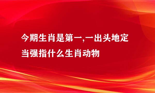 今期生肖是第一,一出头地定当强指什么生肖动物