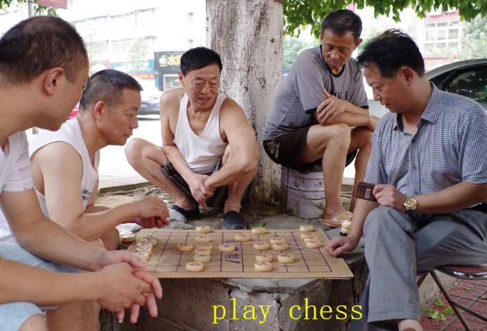 下象棋的英文play chess 中间要不要加the？