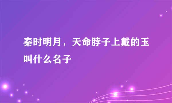 秦时明月，天命脖子上戴的玉叫什么名子