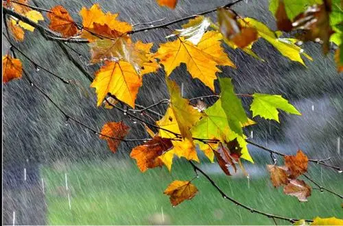 一场秋雨一场寒的下一句