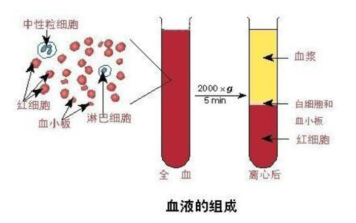 血浆渗透压的单位mOsm/L怎么读？