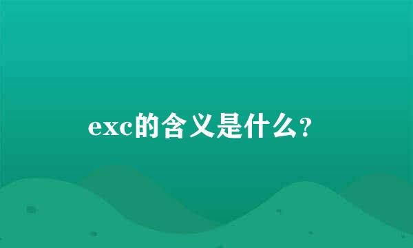 exc的含义是什么？