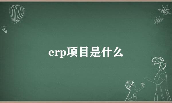 erp项目是什么