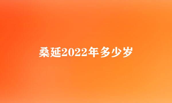 桑延2022年多少岁