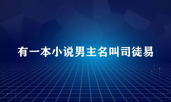 有一本小说男主名叫司徒易