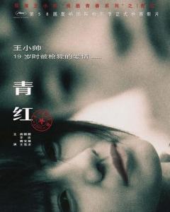 求《青红2005》百度云高清资源在线观看，高圆圆主演的