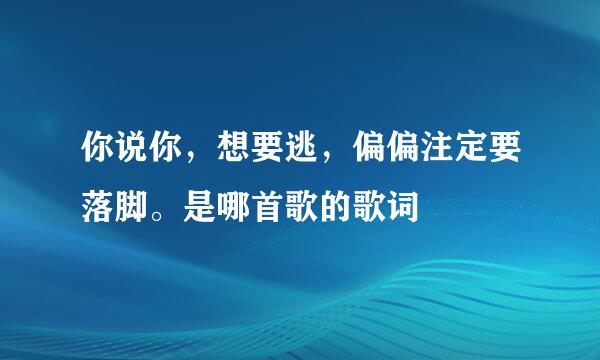 你说你，想要逃，偏偏注定要落脚。是哪首歌的歌词