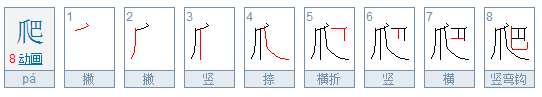 爬属于什么结构?