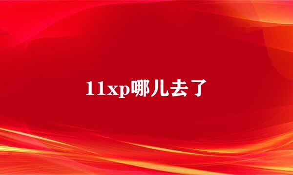 11xp哪儿去了