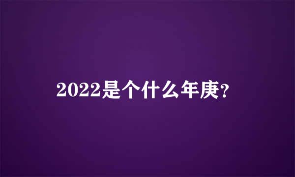 2022是个什么年庚？