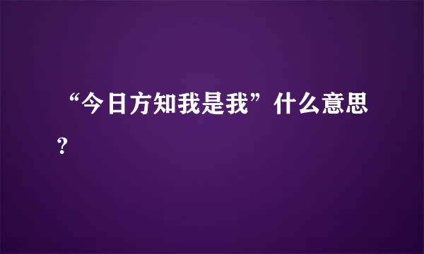 “今日方知我是我”什么意思?