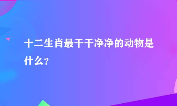 十二生肖最干干净净的动物是什么？