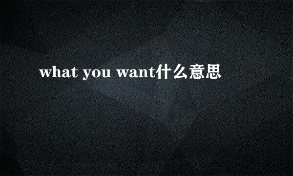 what you want什么意思