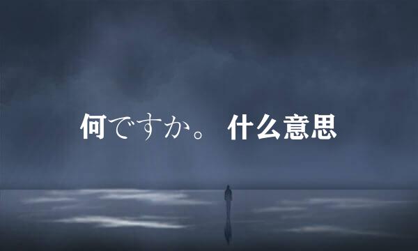 何ですか。 什么意思