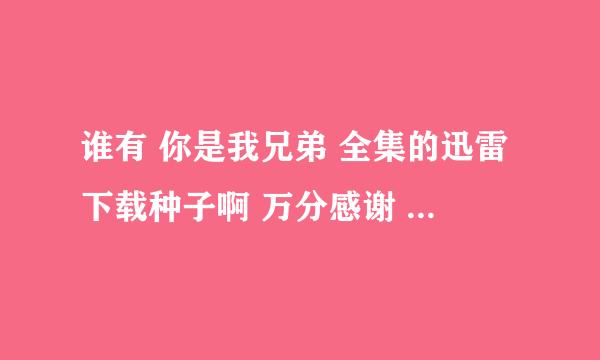 谁有 你是我兄弟 全集的迅雷下载种子啊 万分感谢 一定要能用