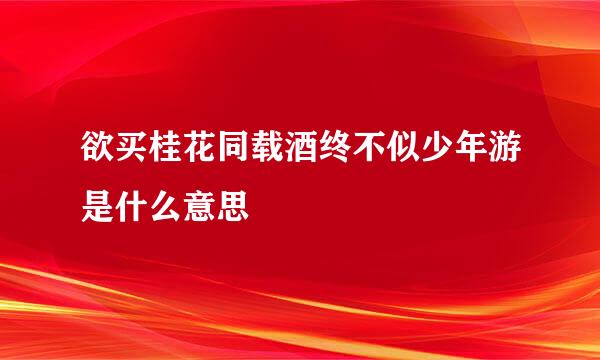 欲买桂花同载酒终不似少年游是什么意思