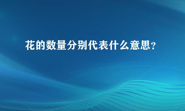 花的数量分别代表什么意思？