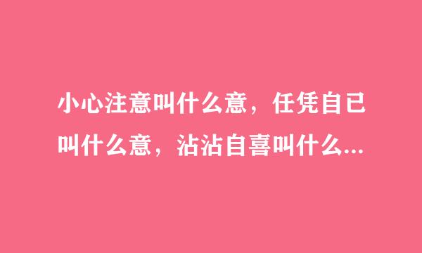 小心注意叫什么意，任凭自已叫什么意，沾沾自喜叫什么意，任意忘为叫什么意，心情爽快叫什么意，心术不正