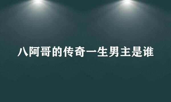 八阿哥的传奇一生男主是谁