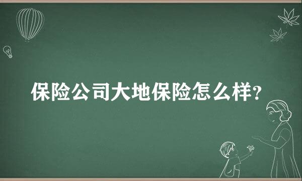 保险公司大地保险怎么样？