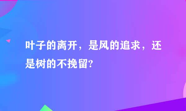 叶子的离开，是风的追求，还是树的不挽留?