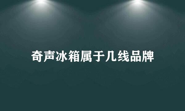 奇声冰箱属于几线品牌