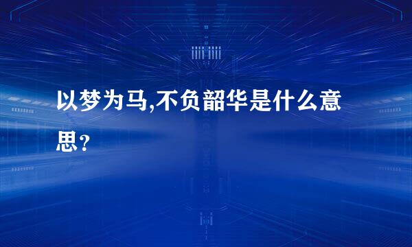 以梦为马,不负韶华是什么意思？