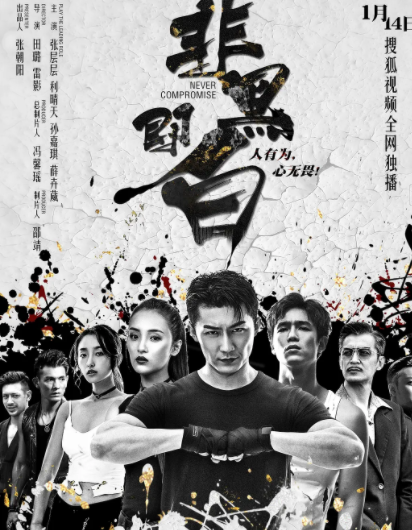 求《非黑即白》百度云免费在线观看，田璐导演的