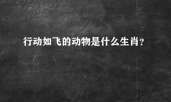 行动如飞的动物是什么生肖？