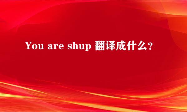 You are shup 翻译成什么？