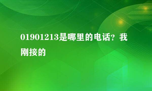 01901213是哪里的电话？我刚接的