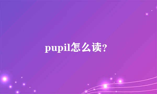 pupil怎么读？