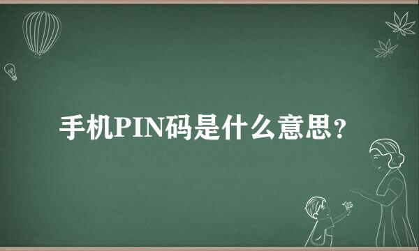 手机PIN码是什么意思？