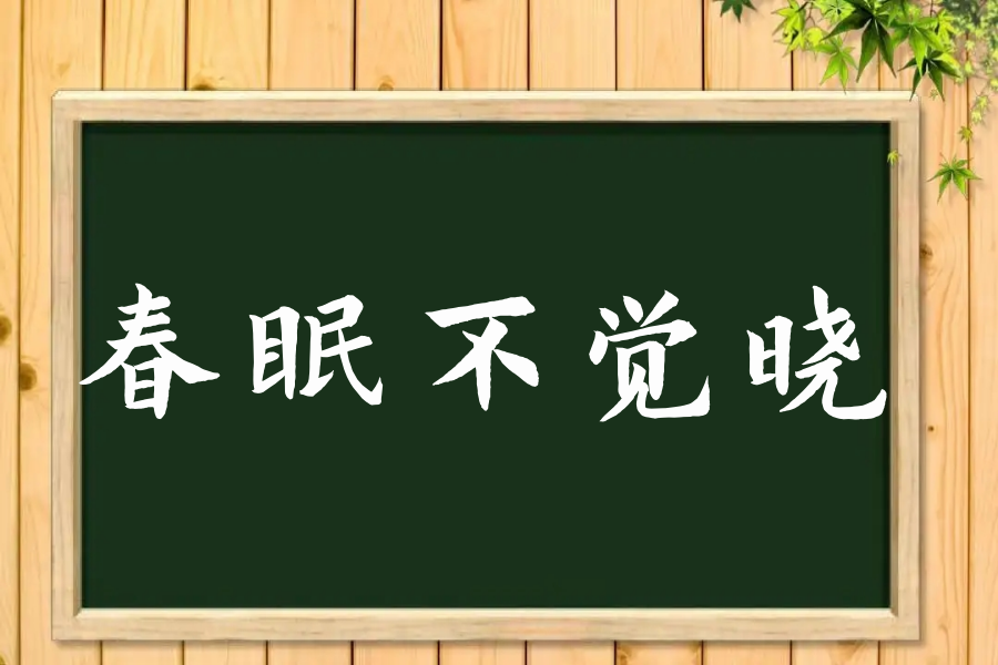 春眠不觉晓什么意思