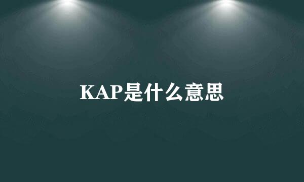 KAP是什么意思