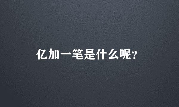 亿加一笔是什么呢？