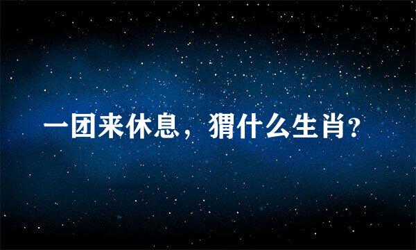 一团来休息，猬什么生肖？